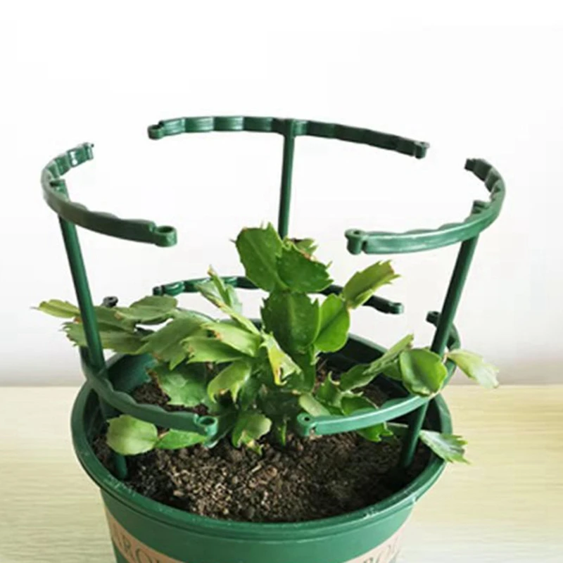 Estaca de soporte de plástico para plantas de 20 piezas, arreglo de invernadero, varilla fija semicírculo, flor de interior, soporte de escalada de vid