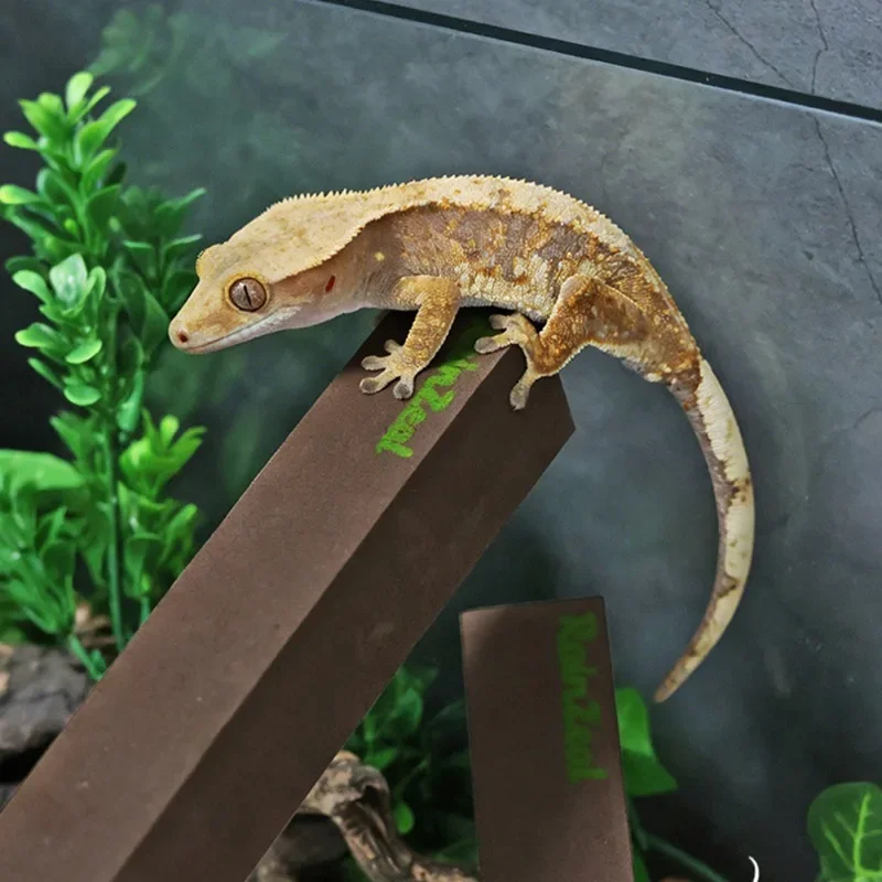 1 Stück DIY zuschneidbarer Schaumstoff-Kletterstab Reptilienzweig für gekräuselten Gecko, Leopard, Eidechse, Spinne, Terrarium, Tank, Habitat-Dekorblöcke – Detail 8
