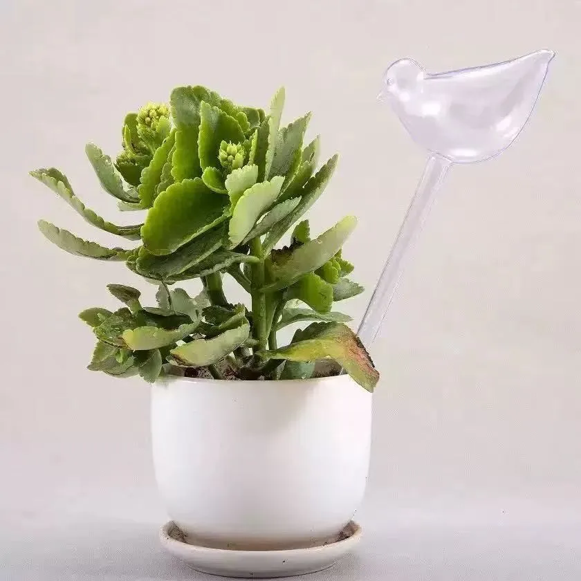 2pcs Bird-Shaped Self-Watering Globes Automatic Flower Watering Potted Plants Irrigation Tools Stakes Drip Water Seepage Device
