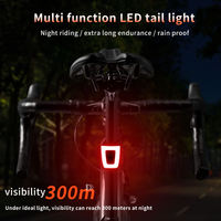 USB Rechargeable Safty Warning Bicycle Back Light LED Rainproof Bicycle Light Bicycle Tail Light Night Riding Warning Light