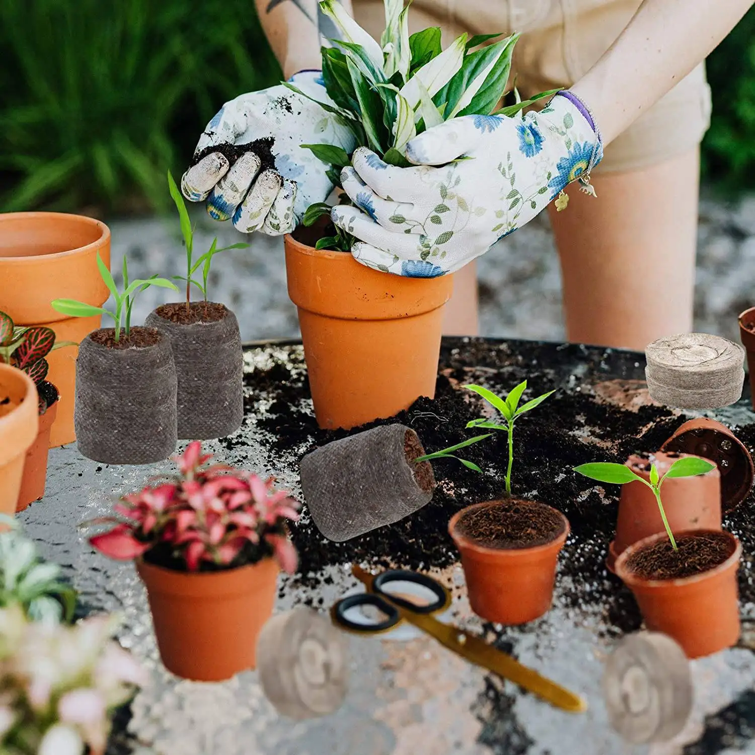 Planta do solo Starters Plugs, Bloco de mudas, Fertilizante de sementes, Bloco de nutrientes para flores, 30mm, 120Pcs