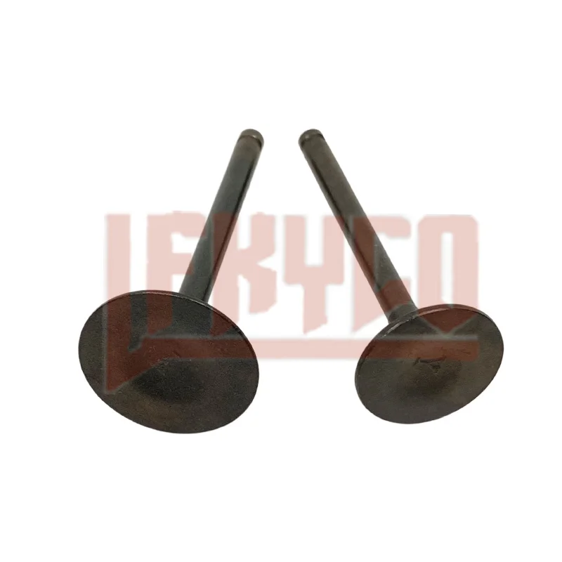 Motor Intake Exhaust Valves Seals Kit For YX140 1P56FMJ Horizontal Engine Stomp Demon X WPB Thumpstar SSR 140cc Pit Dirt Bike