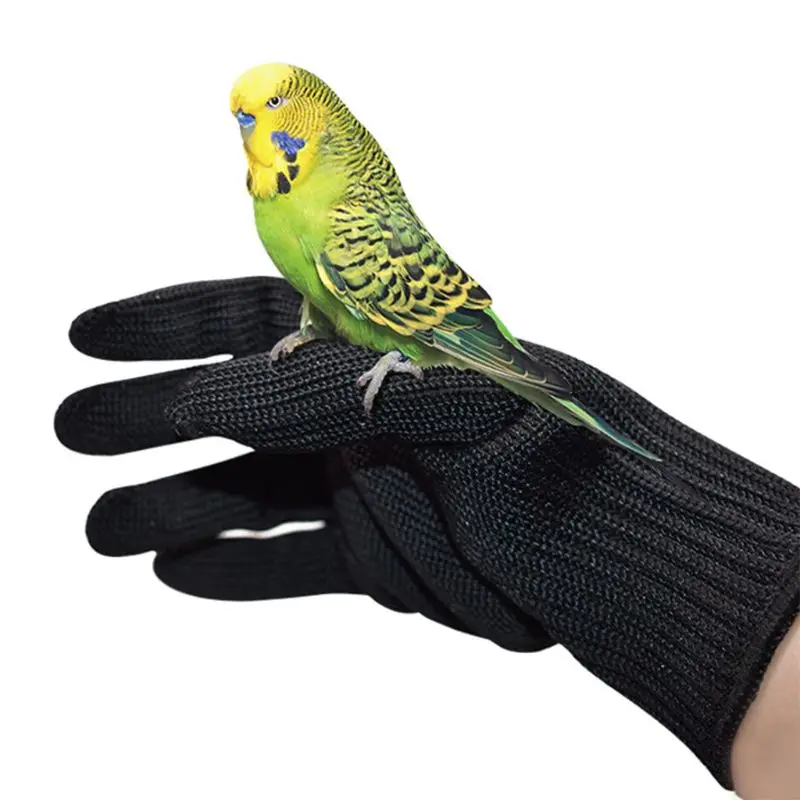 Bird Gloves Anti-Bite Parrot Training Chewing Protective Gloves Perfect for Birds Gripping Trimming Nails Feeding B03E