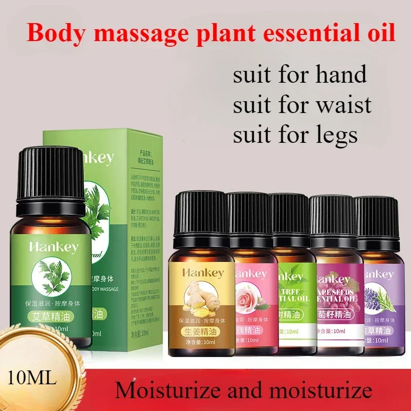 

10ml Body Massage Essential Oil Suit for SPA Massage Guasha Beauty Salon Scraping Massage Body Plant Essential Oils