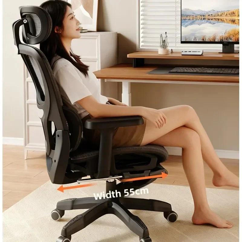 Computer chair, simple ergonomics, e-sports learning seat, not tired, waist protection, lunch break, reclining office chair