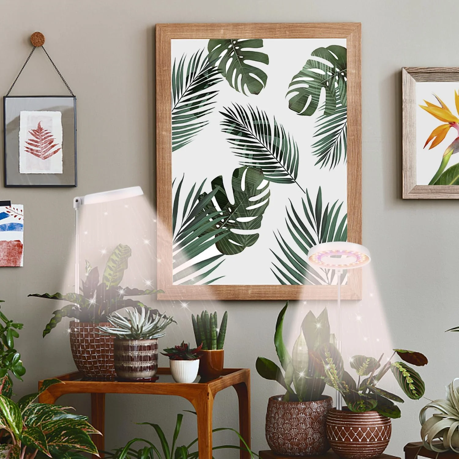 3Colors Angel Ring Plant Lamp Timing Control 4/8/12/18Hours Full Spectrum Hydroponics Dimmable Flower Plants LED Phyto Lamp