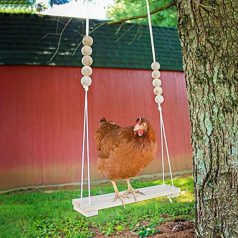 Chicken Toys For Co…