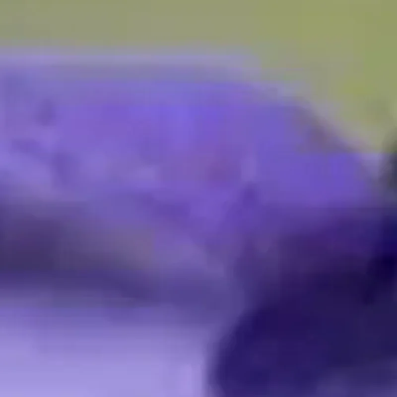 

Outdoor Camping Tableware Storage Bag Large Capacity Cutlery Pouch Multi-Functional Portable Picnic Bags Waterproof Handbag