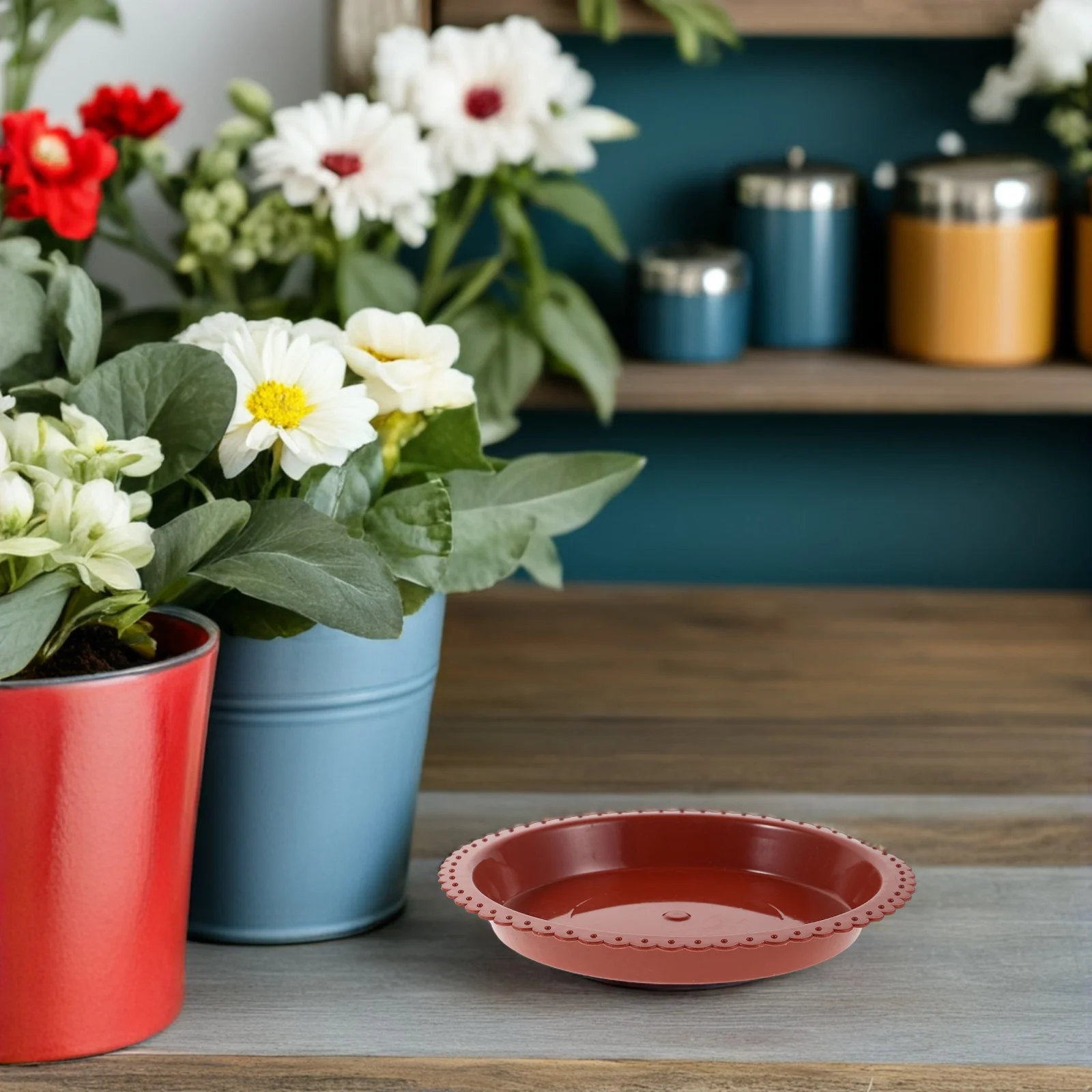 

24 Pcs Flower Pot Tray Flowerpot Base Round Water Trays Bonsai Saucer Planter Plastic Nursery Absorber Dishes Saucers