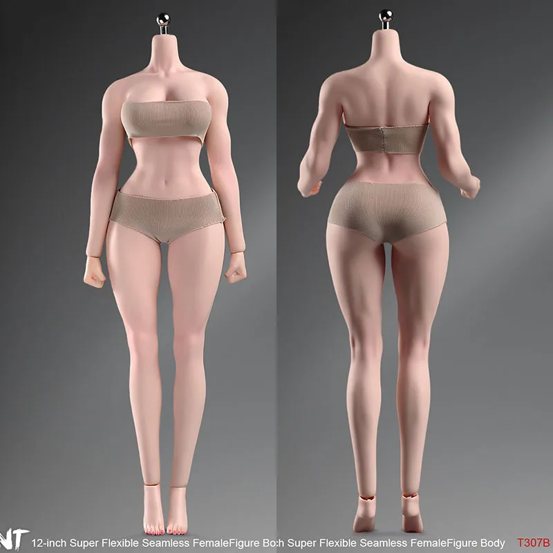 ANT T307 1/6 Scale Female Makeup Seamless Body 12'' Soldier Muscle Big Breast Action Figure Replacement Body for Collectible Toy