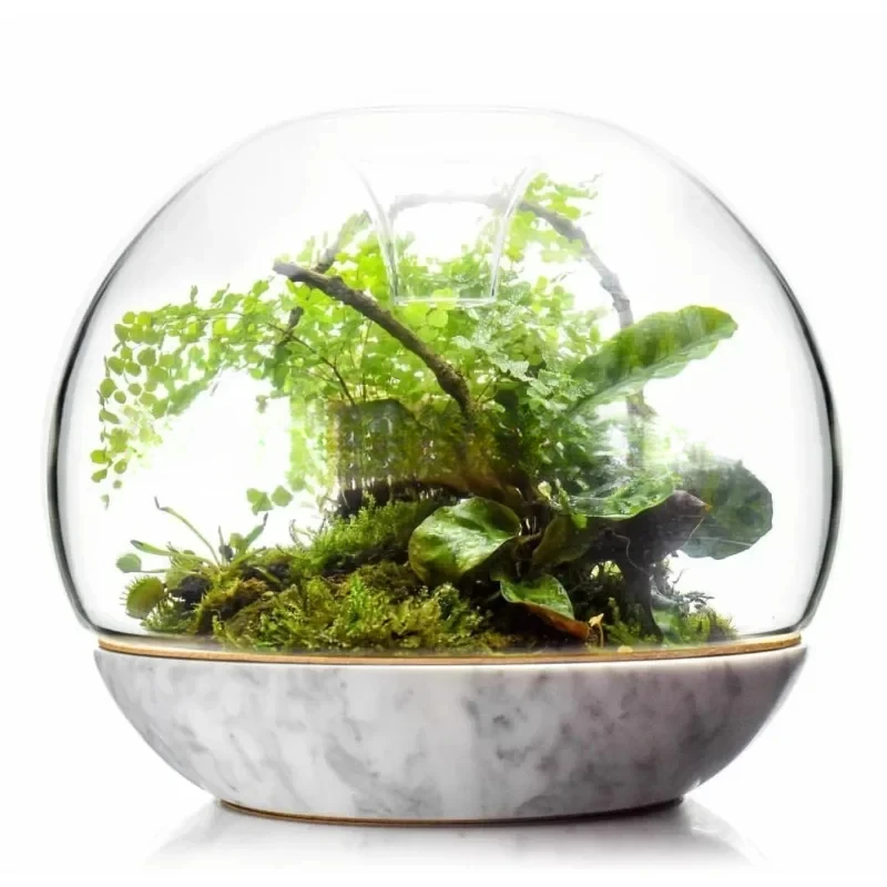 

Geonature Dome Geometric Natural Large Micro Landscape Bottle Marble Bottom Simple