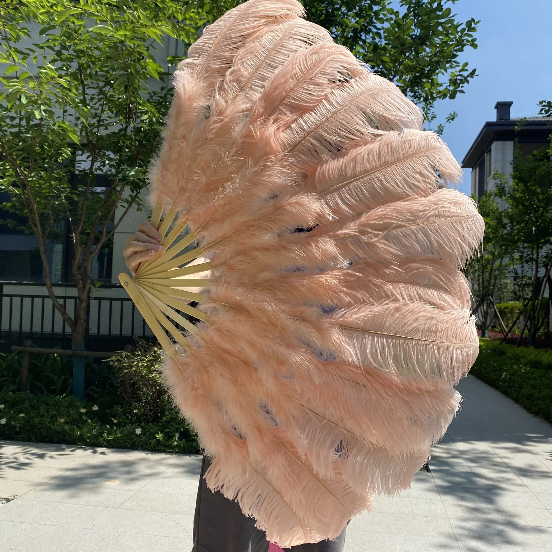 مروحة ريش النعام الكبيرة، والرقص الشرقي، وأداء البار، ودعائم الحفلات الموسيقية، ومروحة الريش #2