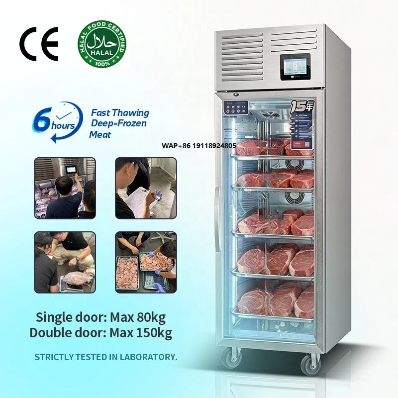 304 Stainless Steel Professional Frozen Chicken Thawing Machine Large Volume Kitchen Thawing Cabinet with Digital Thermostat