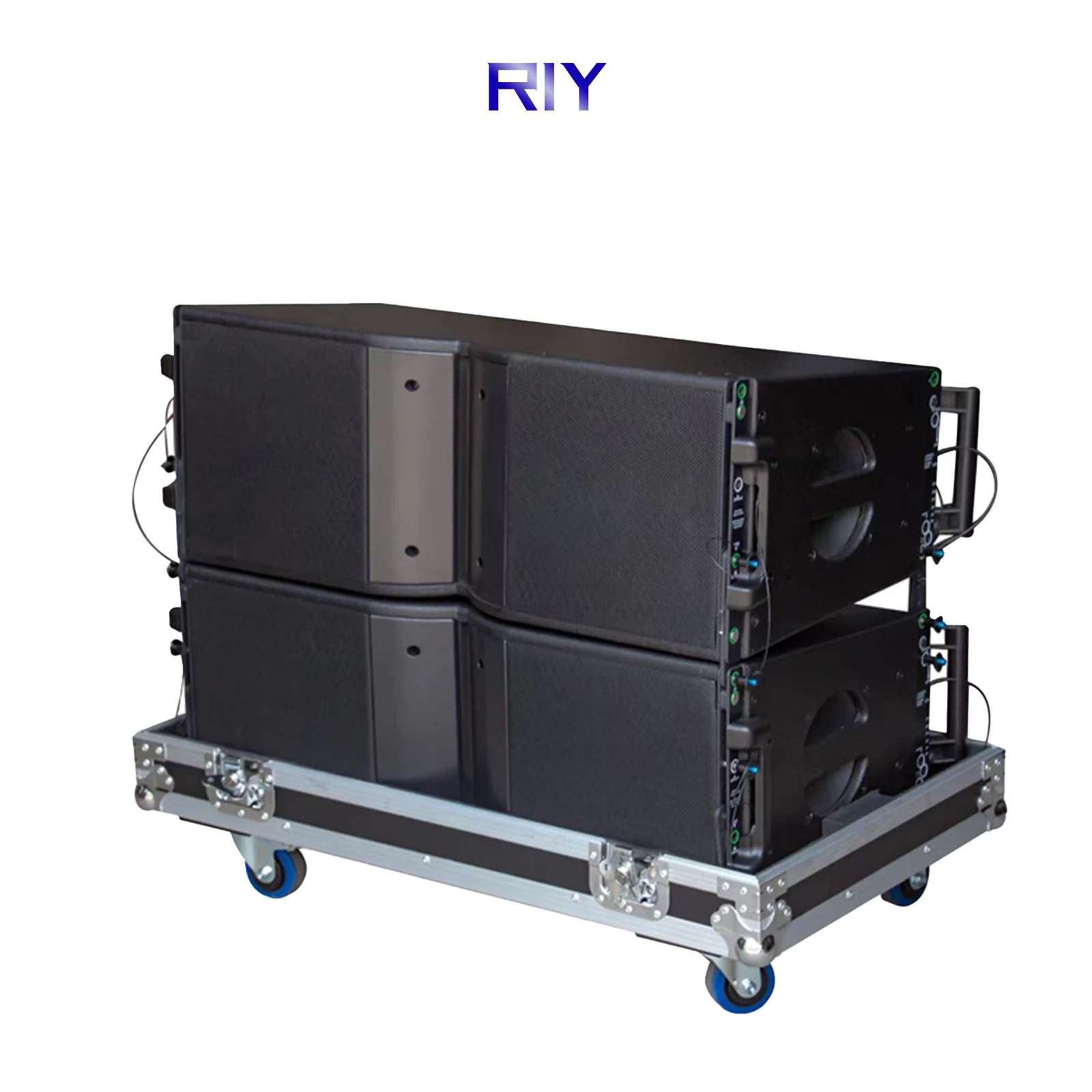 RIY-210 مكبر صوت احترافي مقاس 10 بوصات بنظام صوت خارجي ومكبر صوت للمسرح