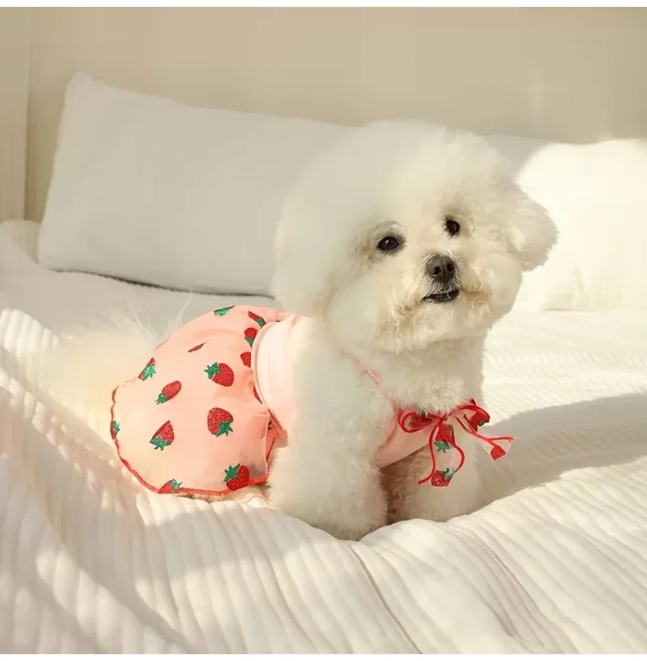 夏用薄手子犬用プリンセススカート、可愛いペット用犬服、小型犬 - Pet Supplies York のレビューと価格