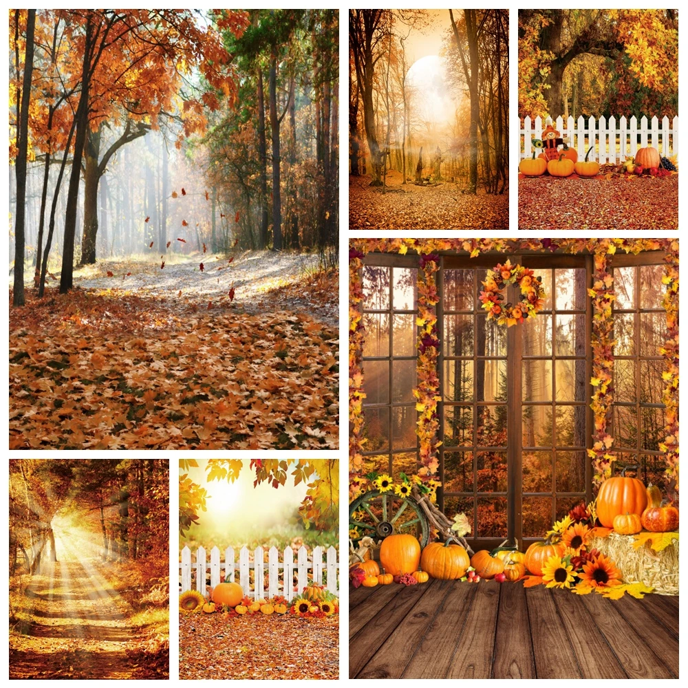 

Autumn Forest Scenery Backdrop Fall Fallen Leaves Tree Field Path Nature Landscape Portrait Photography Background Photo Studio