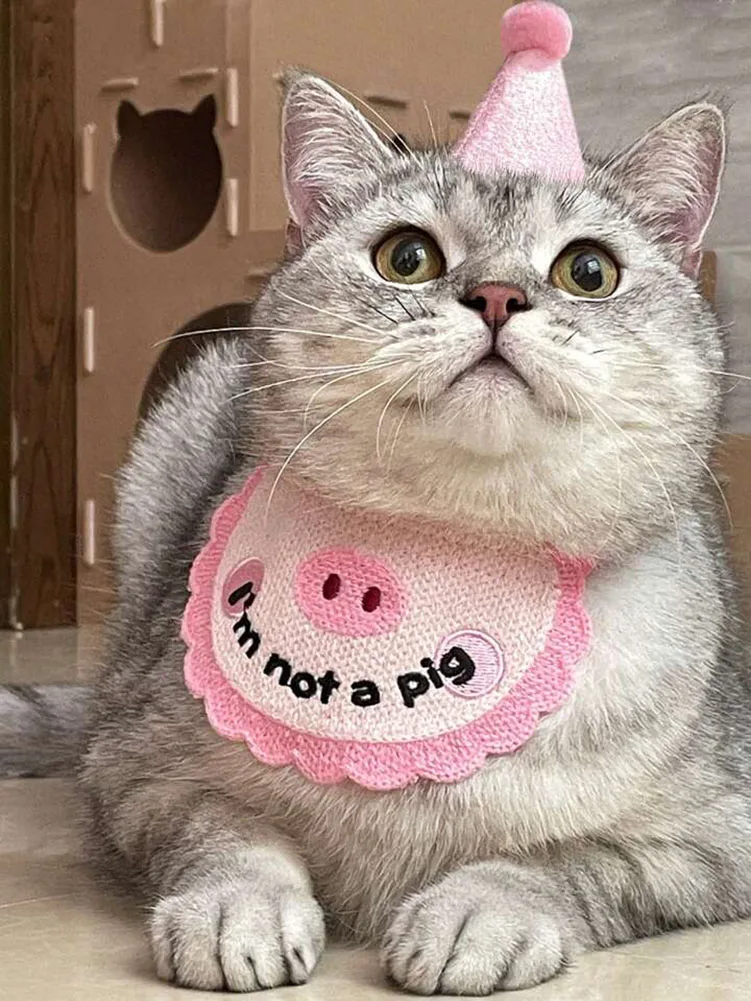 Cute Pet Bib Hat Birthday Pig Cat Saliva Sowel Dog Puppy Party Scarf