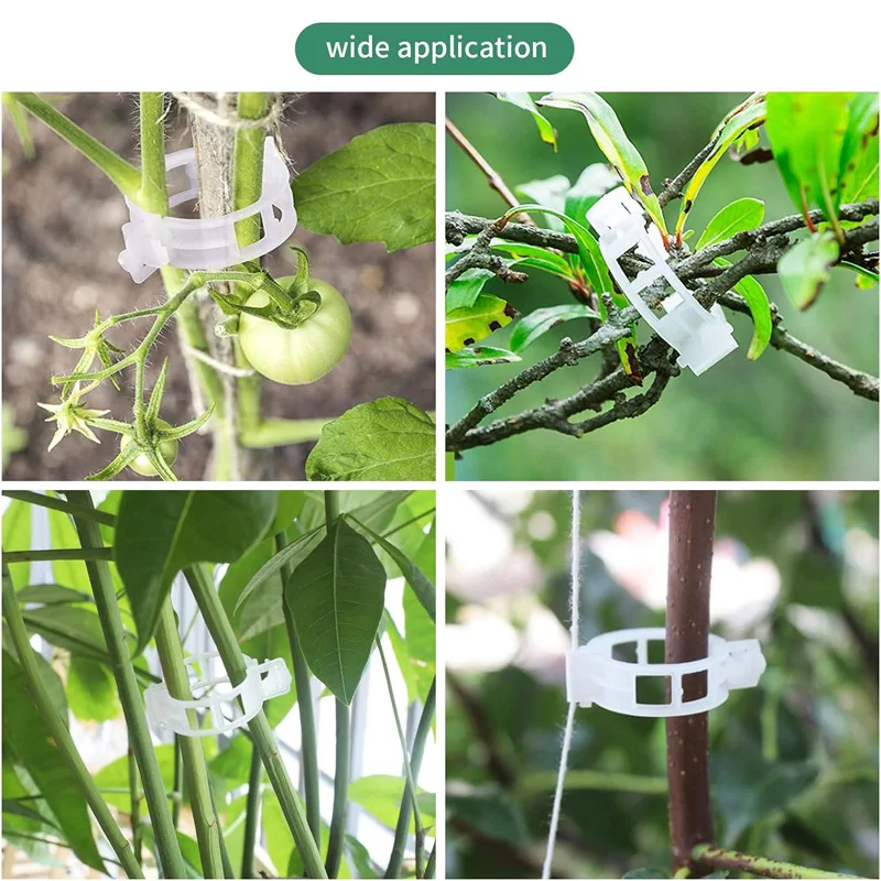 Clips de Support de Plantes en Plastique Réutilisables, Protection de Vigne, Greffage de FiosphTool pour Légumes, Tomates, Fournitures de Jardin, Vente en Gros