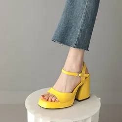 2023 Summer New Shoes Woman Brand Women's Platform Shoes Fashion Comfortable Thick Sole Sandals Square High Heels