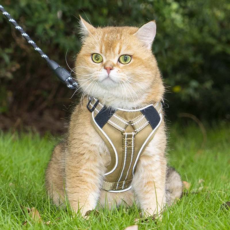 Harnais tactique léger pour chat, en maille réfléchissante, sangles de poitrine pour animaux de compagnie, accessoires pour la promenade en extérieur