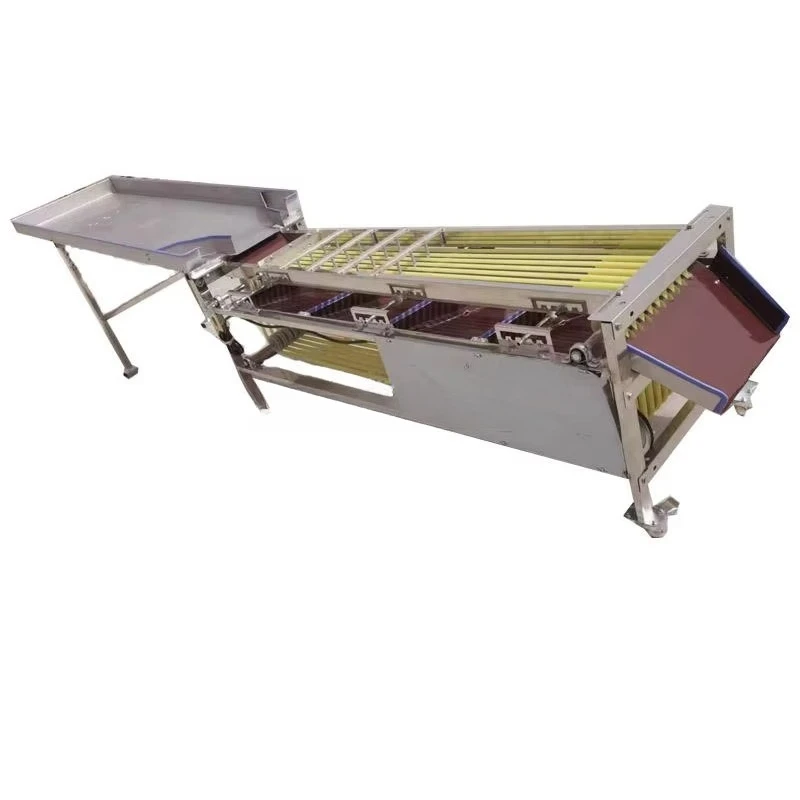 Factory Direct Sales Vegetable Sorting Machine Cucumber Cubes Sorter Fruit Selecting Grading Machine