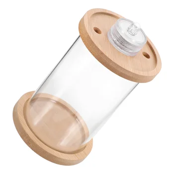 유리 양동이 물고기 탱크 LED 조명 수족관 키트, 높은 선명도, 작은 광택, 실용적인 다채로운 나무, 분리형