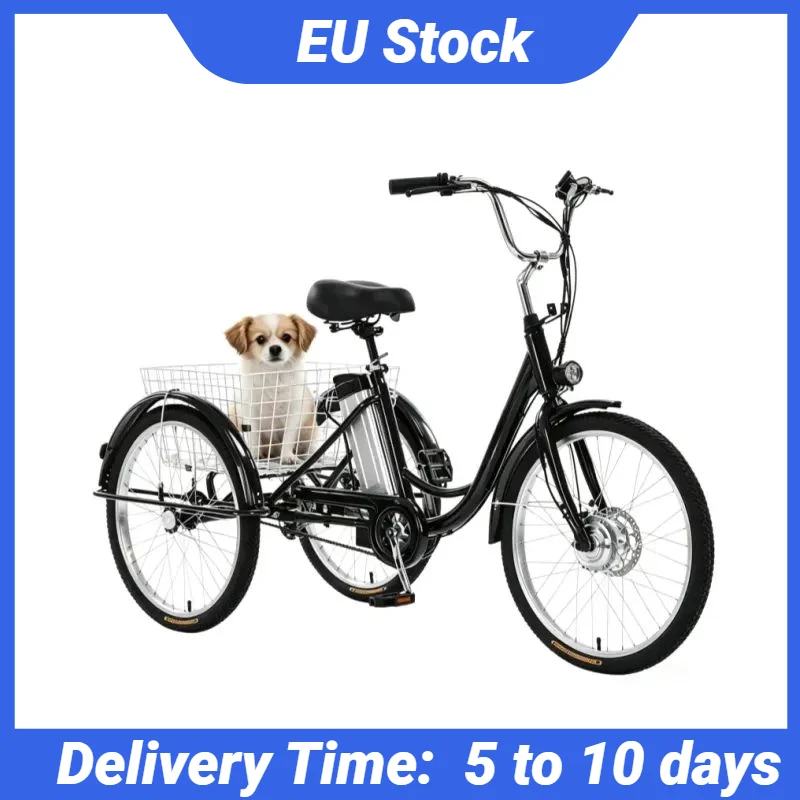 3-Rad-E-Bike für Erwachsene mit Abnehmbarem Batterie-Container 350W 36V 24 Zoll Elektro-Dreirad für Senioren Familien-Elektrofahrrad