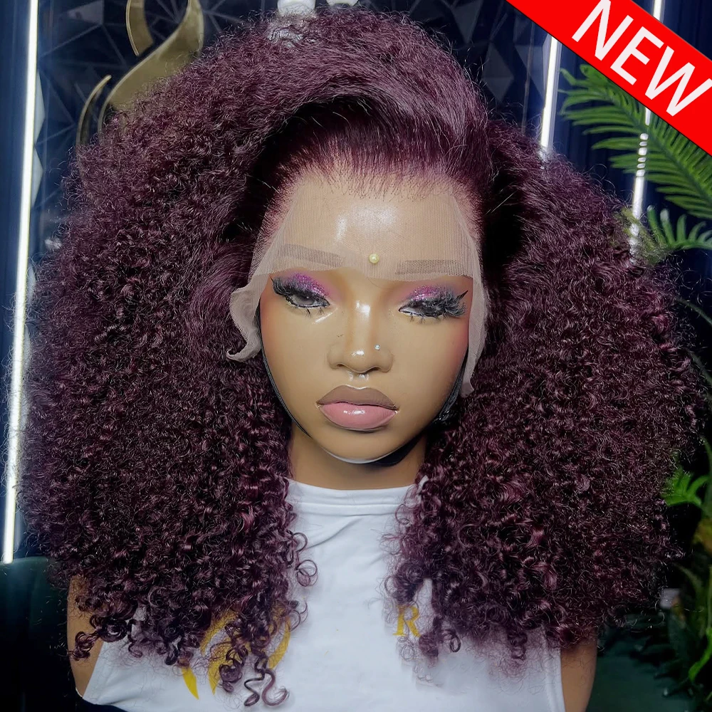 

13x4 HD Lace Frontal Wig Kinky Curly 300 400 Density 100% Human Hair Wigs Pre plucked For Women 360 Lace Frontal Wigs 16-36 Inch