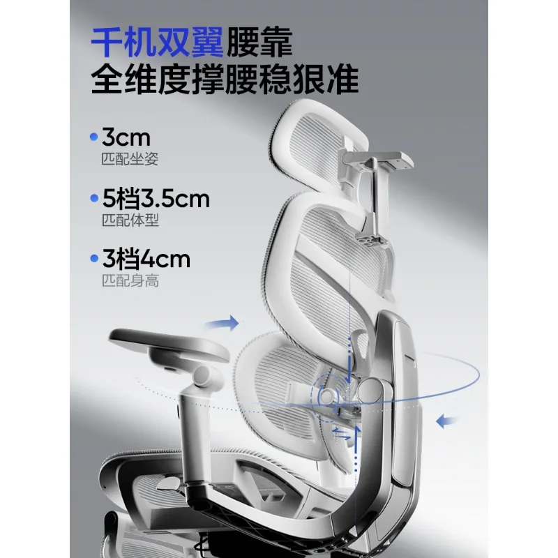 Ergonomic chairs, computer chairs, e-sports, office boss, sedentary study room home chairs