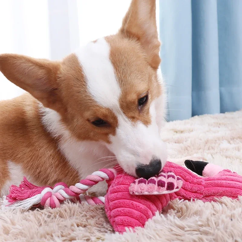 Juguete chirriante resistente a mordeduras para perros y gatos - imagen 4