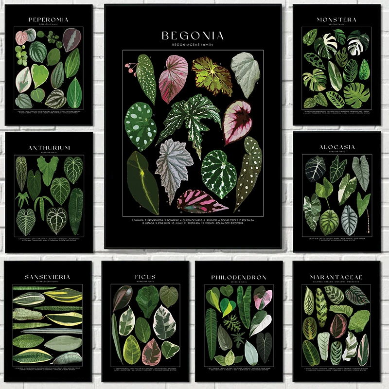 Modern Classic Plant Art Tortoise Back Bamboo Tropical Plant Identification Poster Canvas Paintings Wall Art Pictures Home De