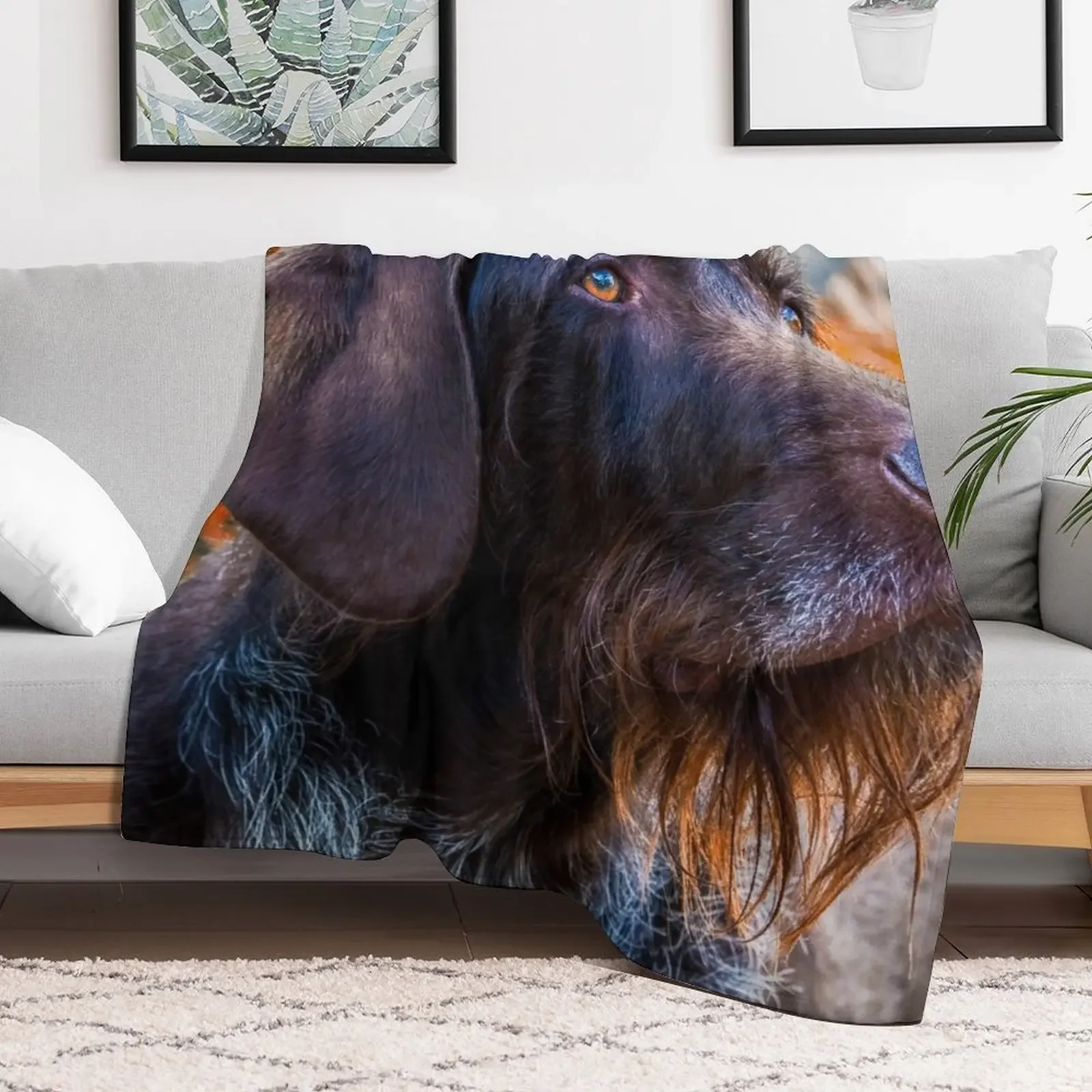German Wirehaired Pointer Portrait Throw Blanket Plush Fuzzy Cozy Blanket for Couch Sofa