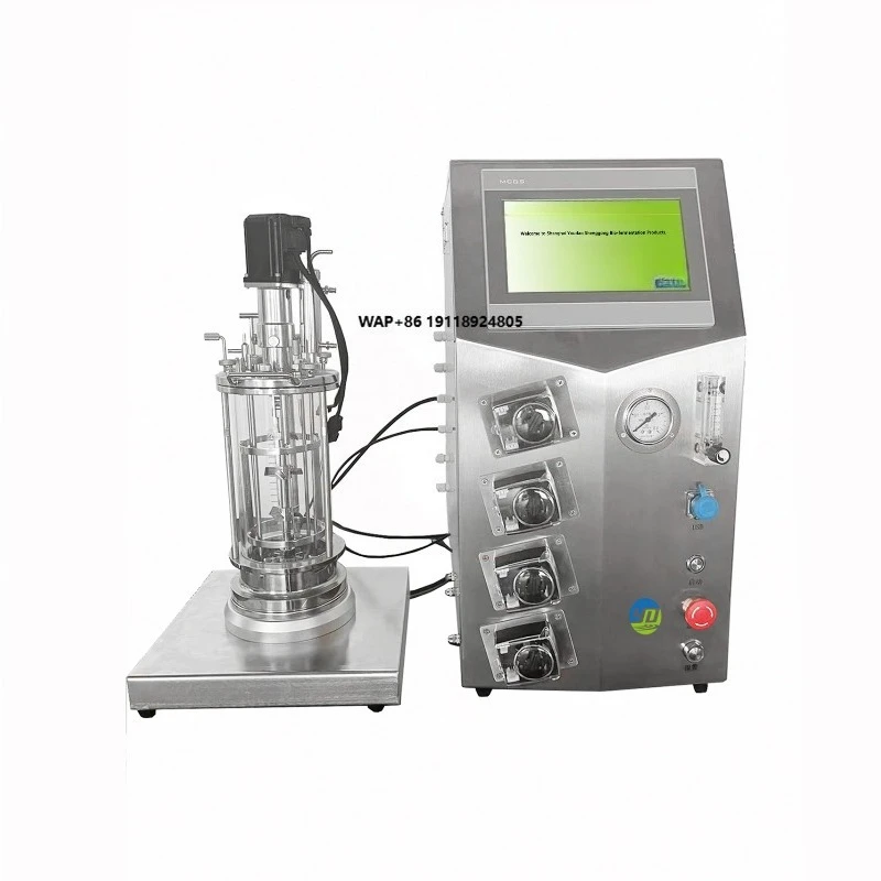 OEM/ODM Fermenter Premium Glass Fermenter with Airlock for Home Brewing & Kombucha Fermentation