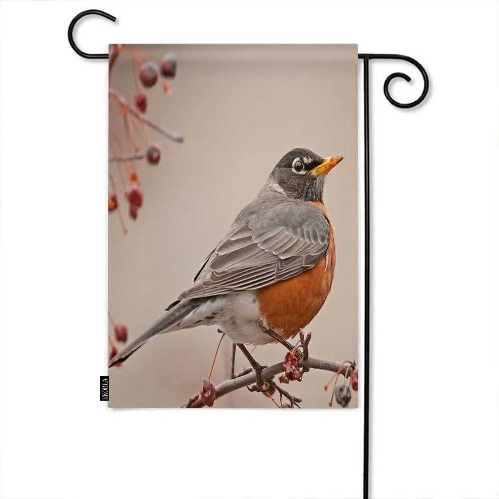 EKOBLA American Robin Decorative Garden Flag Turdus Perched On Branch Of Ash Tree Red Berries Double Sided Garden Flags for Outd