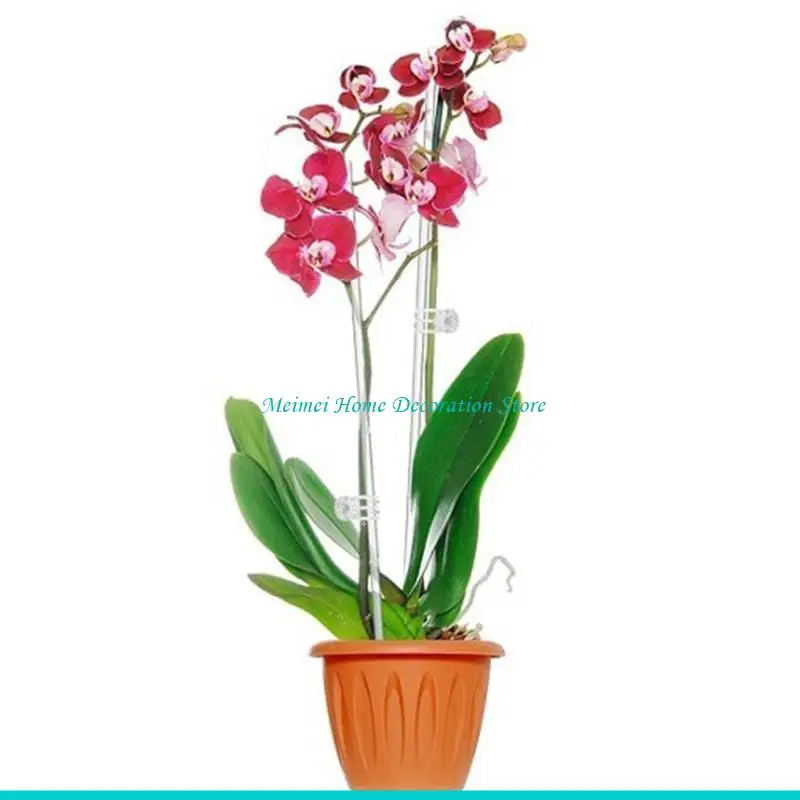 

H7BF 20 шт. Колья для поддержки растений с фиксатором для многоразовых внутренних садов на открытом воздухе