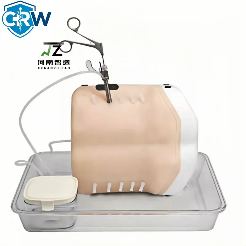 CRW Bestselling Transforaminal Endoscopy & UBE Surgery Training Simulator Highly Simulated Underwater Operation Training