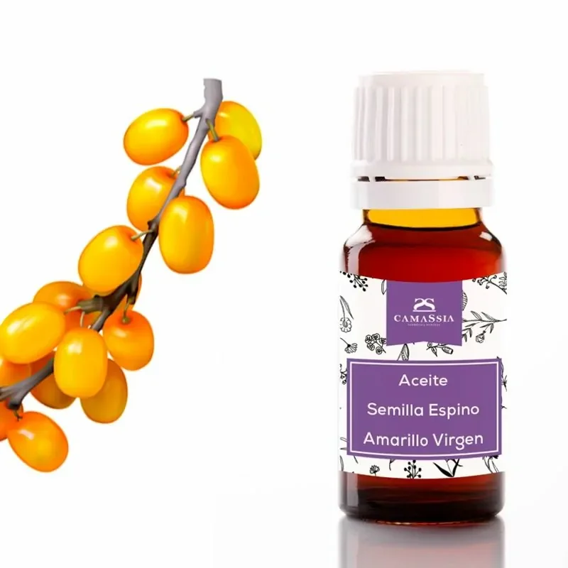 Camassia Aceite de espino amarillo (semilla) virgen | Aceites vegetales | silvestre, de presión en frío