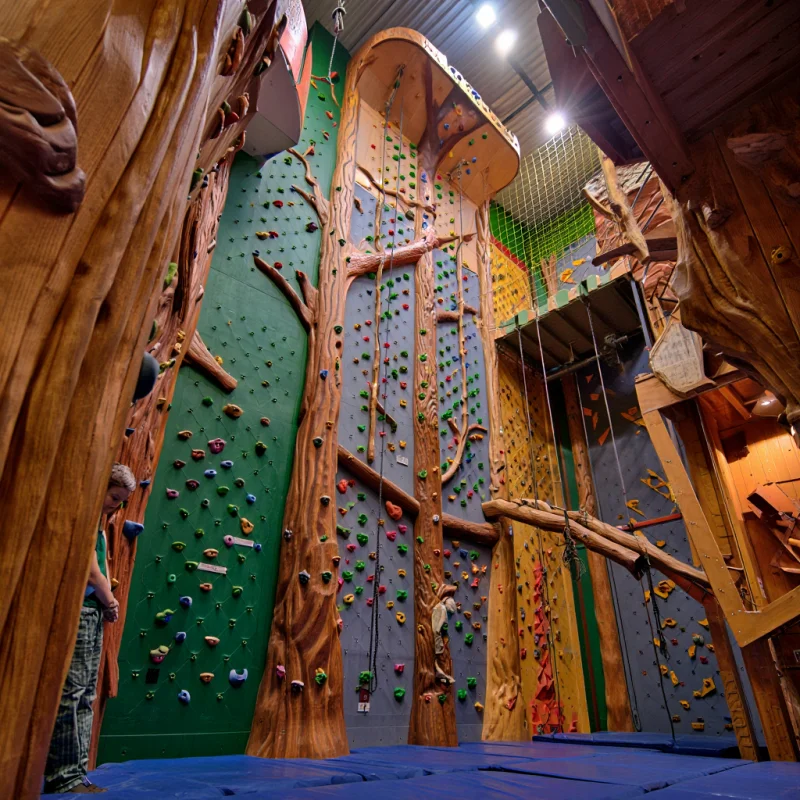 

MIZONE Forest style Indoor Playground Kids Adult Indoor Gym Wood Swedish Ladder Wall