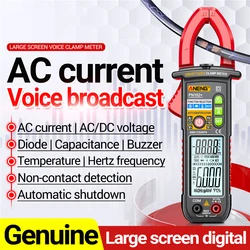 PN102 + Smart Voice Clamp Meter 6000 conteggi Auto range mulitimetro Clamp AC/DC voltmetro diodo Hz Tester di corrente