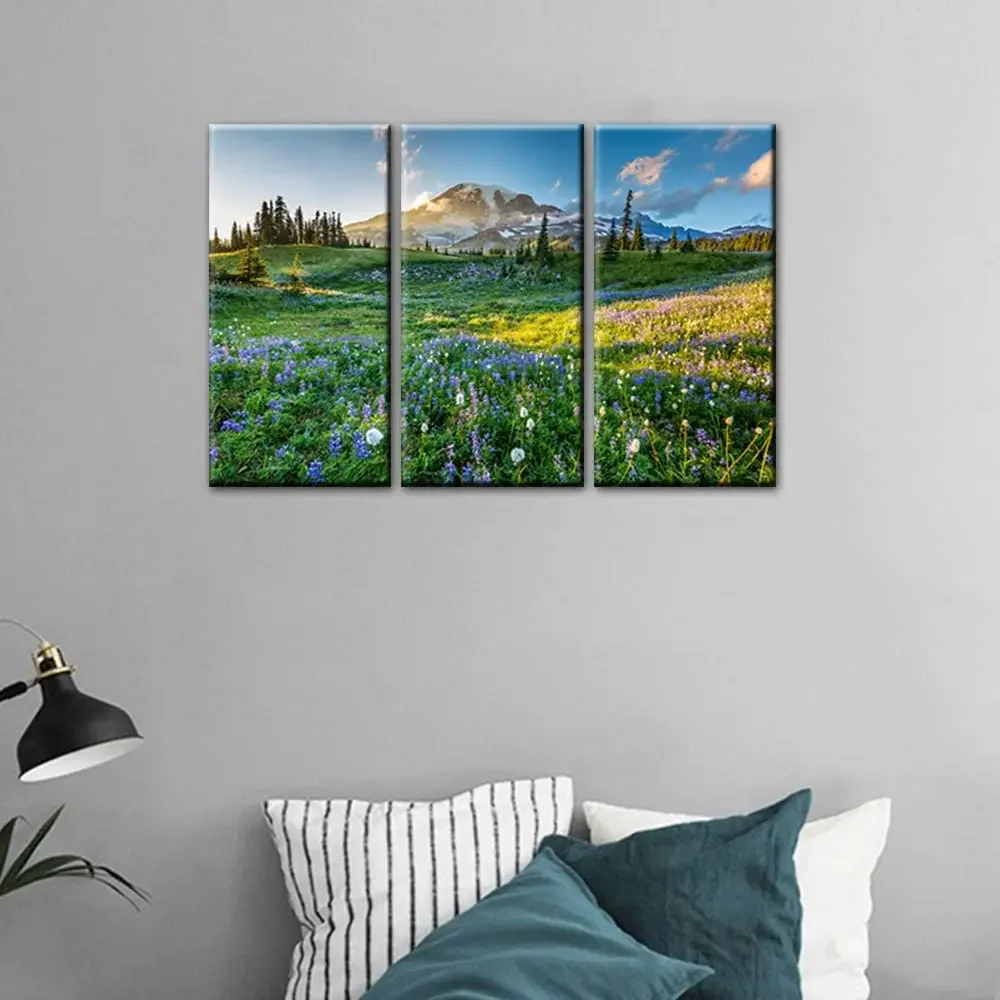 Mount Rainier National Park Canvas By Ho Me Lili Wall Art Wildflowers At Sunset Pictures Modern Artwork Home Decor For Room