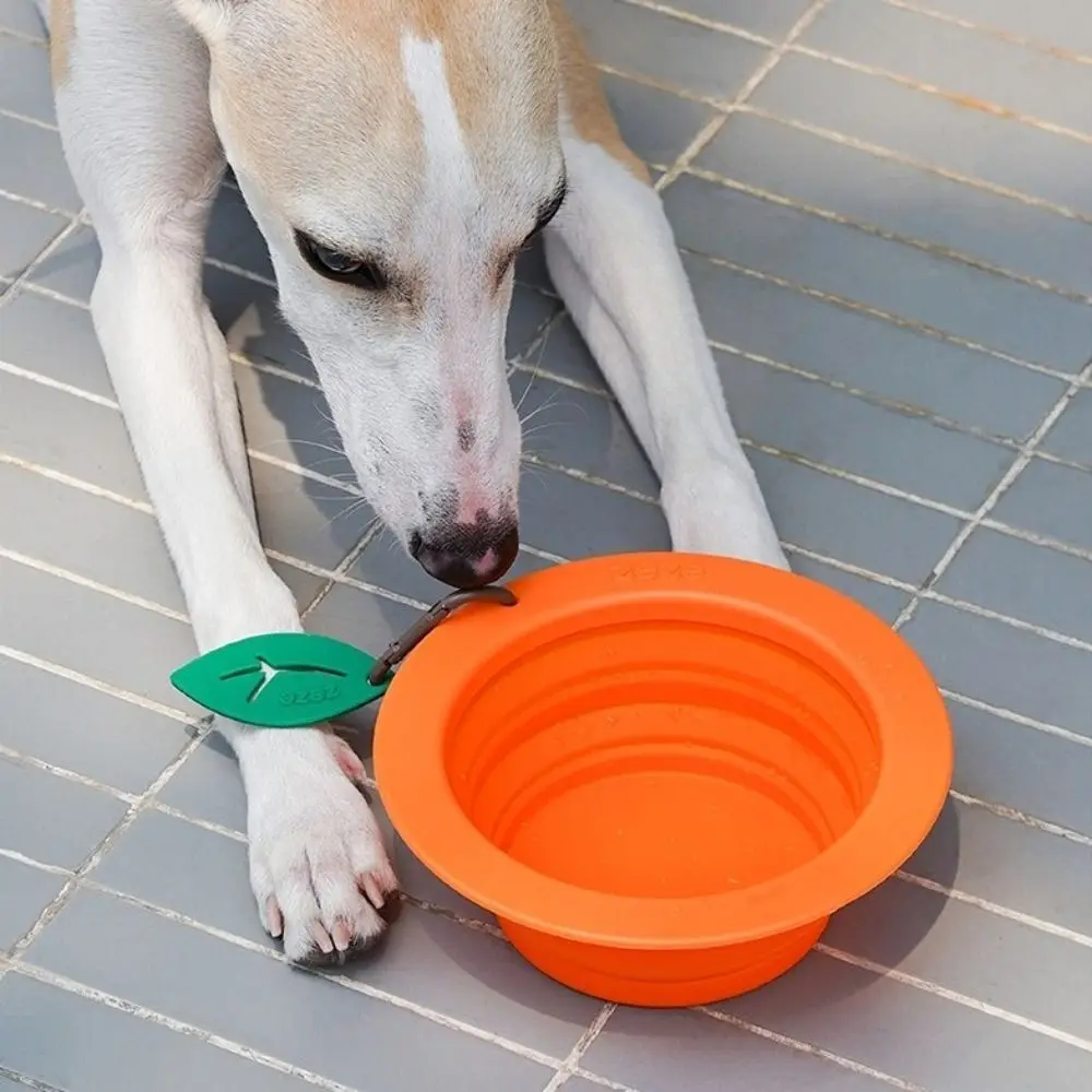 

Feeder 350ML Pet Folding Bowl with Carabiner Hook Design Puppy Food Container Foldable Large Portable Cat Bowl Travel