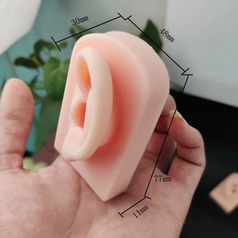 Professional Silicone Left Right Ear Form for Cosmetic Training Realistic Human Ear Mannequin Jewelry Showcasing Props