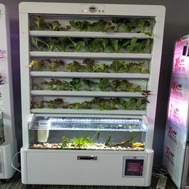 الرف تنمو مصباح مجموعات الزراعة المائية آلة زراعة الزراعة العمودية الذكية مزرعة Aquaponics المغذيات النباتات العمودية #4
