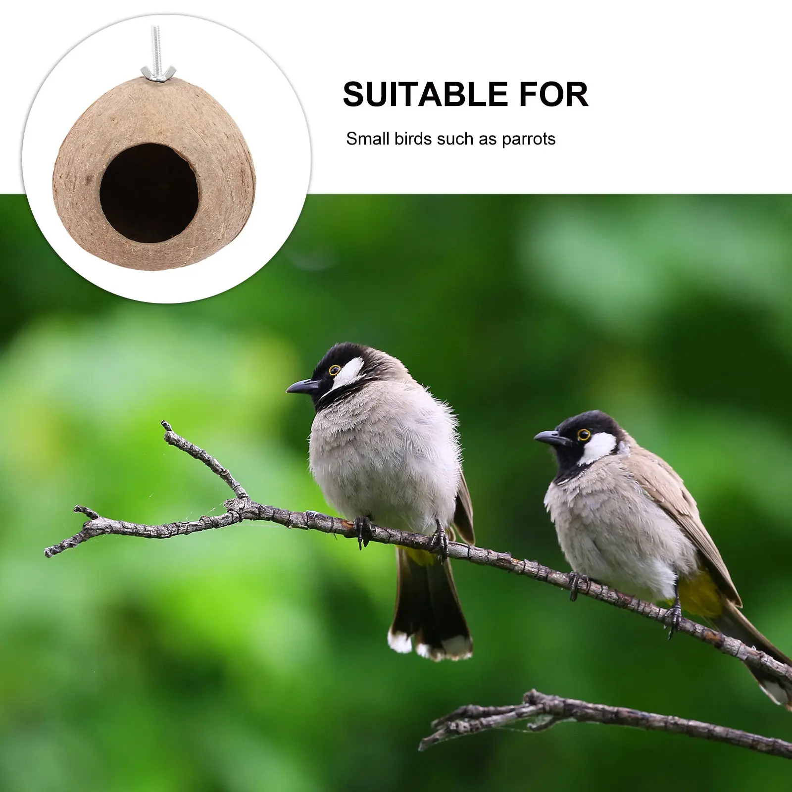 

Coconut Shell Bird Nest Handmade Gourd Shaped Shelter Durable Safe For Birds Hanging House Garden Decoration Outdoor Indoor Use