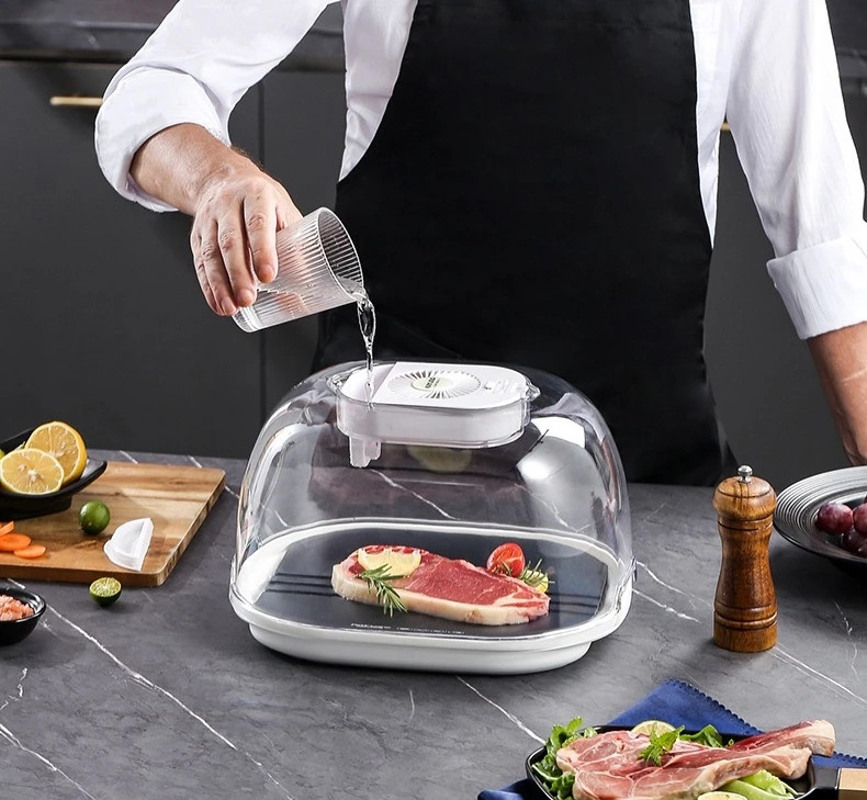 Multifunctional Defroster Plates Defrosting Tray Thawing Machine Large Size New Meat Defrosting Machine for Thawing Frozen Food