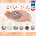 P2 6PCS