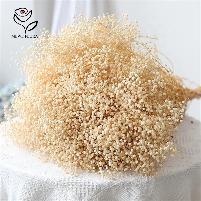 Real Dried Flowers Gypsophila Baby Breath Bouquet Gypsophile Valentine Gift Wedding Party Decoration Boho Home Photo Prop Decor