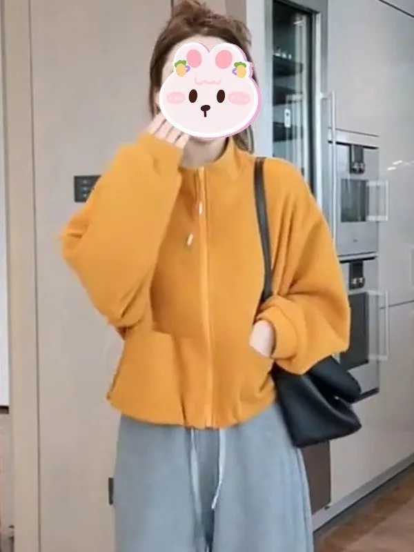 

Корейская простая толстовка-куртка с воротником-стойкой и молнией, женская, осенняя, новая, повседневная, универсальная, укороченная, в стиле кэжуал