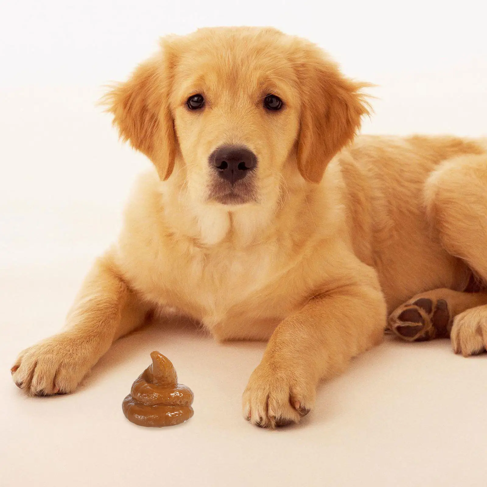 

3Pcs Realistic Fake Poops Prank Gift for April Fool's Day Stress Relief Simulation Novelty Party Trick Props Simulation Poop Toy