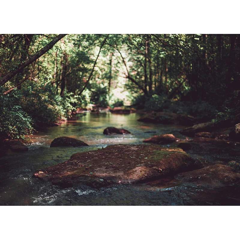 Tropikalny las zielone drzewa rośliny liście fotografia winylowa tła rekwizyty naturalna sceneria tło do studia fotograficznego REL-01